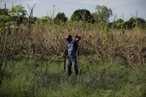 aldea El Socorro en el progreso, Yoro