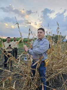 En las parcelas de la Granja Experimental El Pinalito del CUNSURORI, el ingeniero Sergio Menéndez Medina, consultor del CATIE, muestra una planta de Zea luxurians, el pariente silvestre del maíz que crece en el oriente del país.