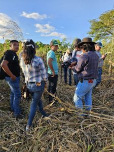 Estudiantes de agronomía e investigadores de distintas instituciones visitan la parcela de un agricultor en Jalapa, en la cual crece de forma silvestre el Zea luxurians.