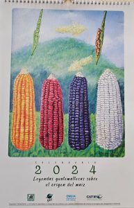 Ilustración de los ancestros del maíz y sus descendientes que se consumen en Guatemala.